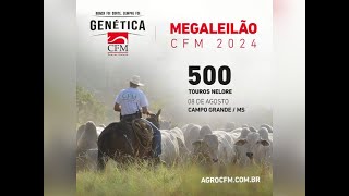 LEILÃO AO VIVO Megaleilão CFM 2024 [upl. by Treat]