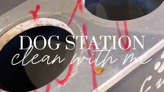 DOG STATION  ASMR CLEANING  CLEAN WITH ME  ASMR SCRUBBING  DOG MOM  SUDSY [upl. by Ibur]