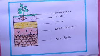 How To Draw Soil Profile EasyDraw Layers Of Soil Diagram [upl. by Masha545]