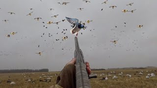 156 BIRD DAY BIG COLD FRONT HAD THE DUCKS HUNGRY COMBO HUNT [upl. by Ciprian]