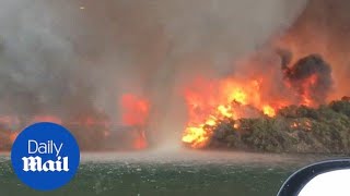 Video shows firenado turns into a giant water spout [upl. by Mad]