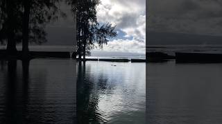 Richardson Ocean Parks Pond Hilo  Big Island Hawaii TownTripbigislandhawaii [upl. by Ardnoid]