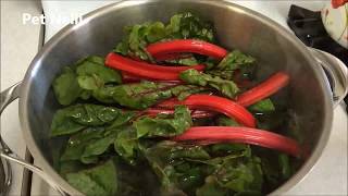 Sauteed Swiss Chard recipe  Simple and Tasty Swiss Chard Recipe [upl. by Atimad758]