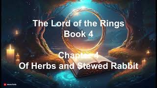 The Lord of the Rings Book 4 Chapter 4 Of Herbs and Stewed Rabbit audiobooks [upl. by Salocin464]