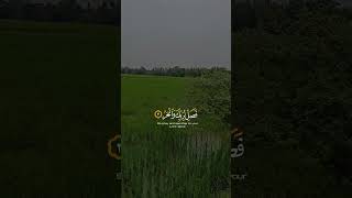 islamic trending foryou vairal2024 shorts salehin [upl. by Inva878]