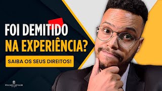 TÉRMINO ANTECIPADO DO CONTRATO DE EXPERIÊNCIA  QUAIS DIREITOS SÃO PAGOS  LETÍCIA CONTADORA [upl. by Rekab936]