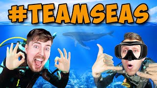 MrBeast Invited Me To TeamSeas [upl. by Nosnej]