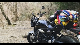 Z900RSでキャンプツーリング 道志の森キャンプ場 campmoto tour [upl. by Lindi250]