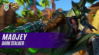 Madjey ANDROXUS PALADINS COMPETITIVE MASTER DARK STALKER [upl. by Anifad]