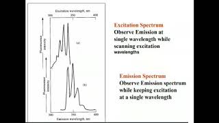 Excitation and emission Spectra in fluorescence [upl. by Hploda]