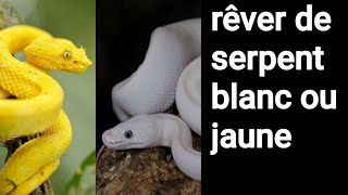 48  firi guent di guis diane diou jaune wala bou wékh  rêver de serpent jaune ou blanc [upl. by Eiramave523]