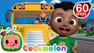 Wheels on the Bus  More  CoComelon  Its Cody Time  CoComelon Nursery Rhymes [upl. by Perrine]