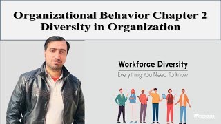 Organizational Behavior Chapter 2 Diversity in Organization [upl. by Read]