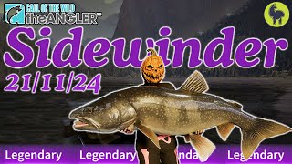 Sidewinder the Legendary Fish this Week 211124  Call of the Wild The Angler [upl. by Gillman492]