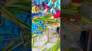 Water Bamboo Harvest satisfying shot [upl. by Laohcin695]