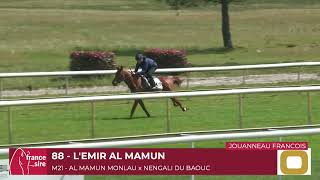 Lot 88  LEMIR AL MAMUN [upl. by Annayrb]