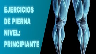 los MEJORES ejercicios de PIERNA para EMPEZAR en el GYM  hipertrofia [upl. by Nomae]