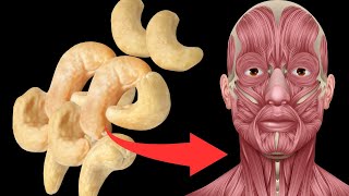 The untold truth about cashews Poisonous [upl. by Eart]