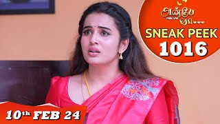 Anbe Vaa Serial  EP 1016 Sneak Peek  10thFeb 2024  Virat  Shree Gopika  Saregama TV Shows Tamil [upl. by Euqirdor610]