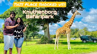 Knuthenborg Safari Park  Where the wildlife is free   Maribo Sjælland  Denmark [upl. by Sollars671]