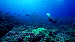 TOPDIVE Fakarava [upl. by Ender573]