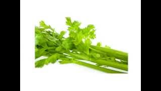 Celery Allergy Know Your Allergen Series 13 [upl. by Clie]