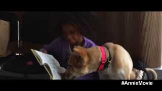 Annie  Featurette Sandy  At Cinemas December 20 [upl. by Fuld635]