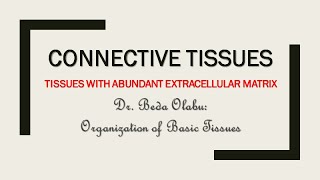 CONNECTIVE TISSUE ORGANIZATION [upl. by Nal288]