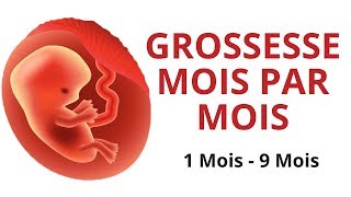 Evolution du fœtus  grossesse mois par mois [upl. by Dre]