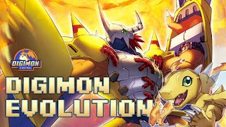 Digimon Evolutions [upl. by Anahsahs]