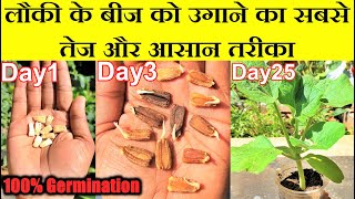 लौकी को बीज से उगाने का सबसे तेज तरीका सीखिए  Fastest Method of Bottle Gourd Seed Germination [upl. by Eugatnom]