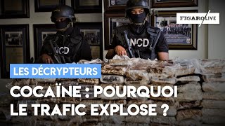 Cocaïne  pourquoi le trafic explose en France [upl. by Lubin592]