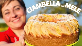 CIAMBELLA ALLE MELE con 4 METODI DI COTTURA  Forno Pentola Fornetto Friggitr ad aria e Microonde [upl. by Juline]