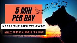 Desensitization Dog Music  Lower Your Dogs Anxiety with NIGHT SOUNDS [upl. by Niwrad]