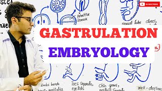 Embryology  Gastrulation [upl. by Hamon165]