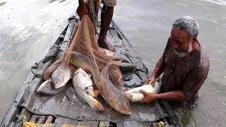 Epic Village Pond Net Fishing  Catching Massive Fish the Traditional Way [upl. by Ardnahcal]