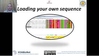 Lec2 Loading your own sequence in Jalview [upl. by Anaihr]