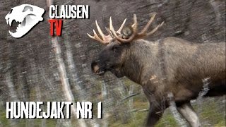 Hundejakt nr 1 nå på Clausen TV Full time huntingfilm now available av Clausen TV [upl. by Adnahsed583]