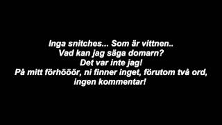 Dani M  Det var inte jagLYRICS ON SCREEN [upl. by Lucius298]