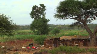 IFAW Proflie  Daniel Leturesh Amboseli Wildlife Hero [upl. by Lyndon]