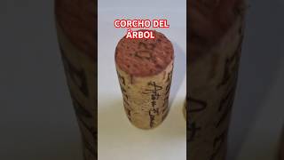 ¿SABES CUÁL ES DE UN MEJOR VINO vino corcho árbol [upl. by Beghtol]