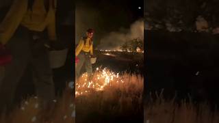 Firefighter Fighting with Forest Fire [upl. by Robby208]