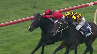 Trackwork  Northland Breeders Stakes [upl. by Downing]