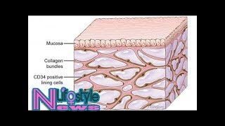 Newfound organ had been missed by standard method for visualizing anatomy [upl. by Bishop]