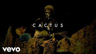 Gustavo Cerati  Cactus Official Visualizer [upl. by Lauzon]