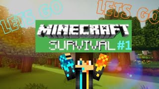 💪🏻MINECRAFT SURVIVAL LETS GO😎 DAY1 [upl. by Mathre]