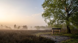 Besser als GMaster Viltrox 24mm Objektiv für Sony im Test [upl. by Witherspoon]