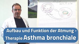 Asthma bronchiale Therapie  Pneumologie Pfronten [upl. by Airednaxela]