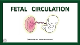 FETAL CIRCULATION  Fetal Circulation Before amp After Birth  Midwifery  The Nurses Station [upl. by Camilla209]