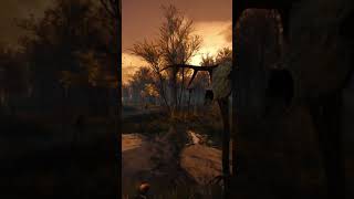 Caught in the moment   WITCHER 3 CROOKBACK BOG SWAMP TIMELAPSE [upl. by Asiret]